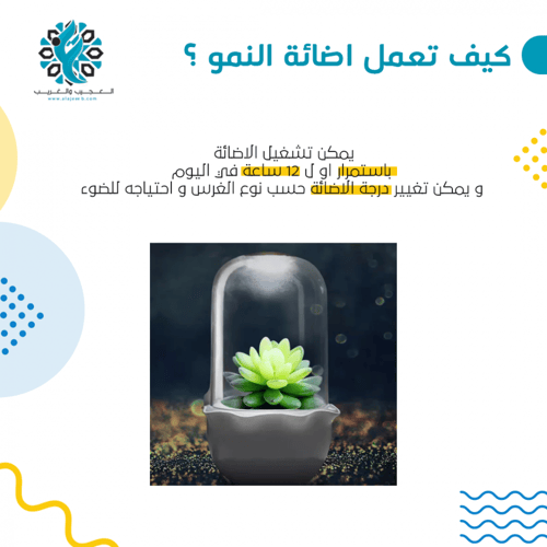 الحديقة الذكية حجم صغير