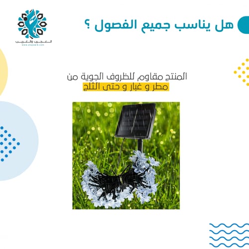 شريط ليد على الطاقة الشمسية ورود