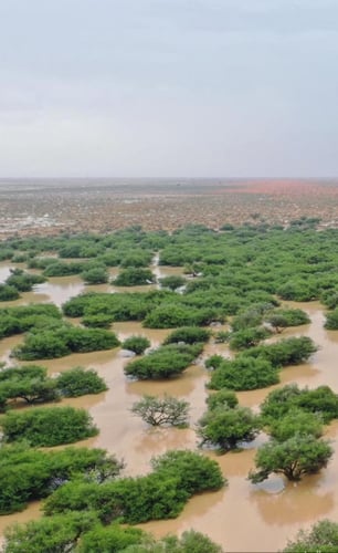 كاميرا سيارة طبلون ذكية