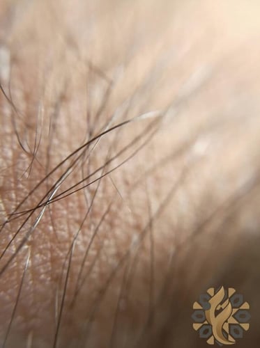 عدسات تصوير احترافي للجوال 10 في 1