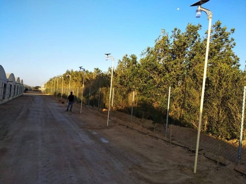 كشاف فانوس على الطاقة شمسية