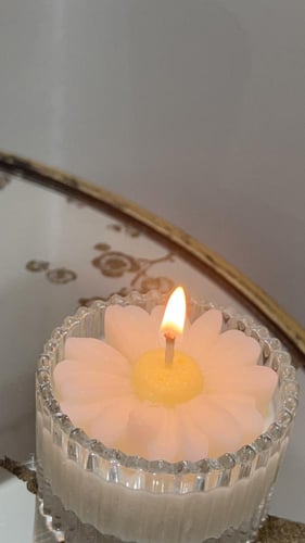 شمعه زهره الاقحوان