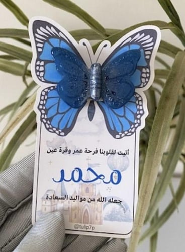 مستكة فراشة مواليد