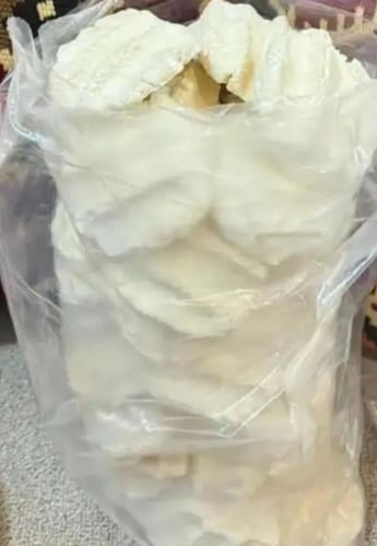 بقل او مضير