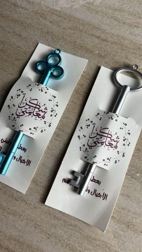 قلم شكل مفتاح