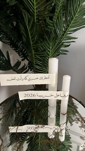 شمعه مع تاق