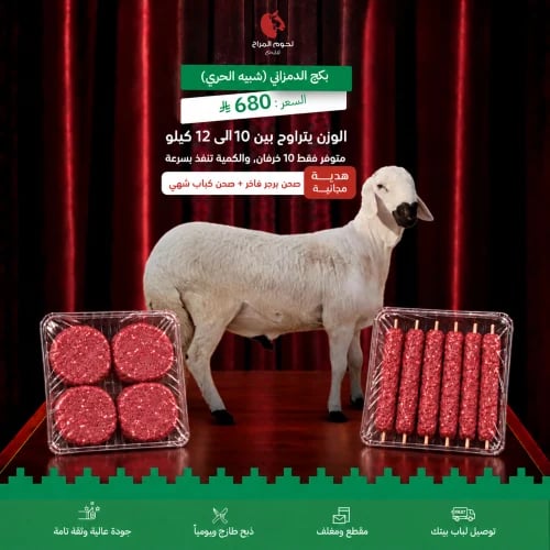 عرض اليوم الوطني الدمزاني شبيه الحر
