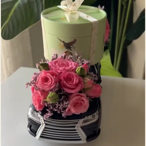Gift license or car 4