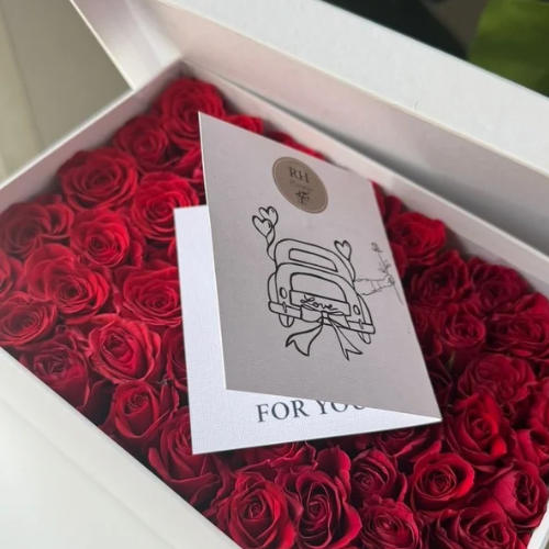 Gift license 10
