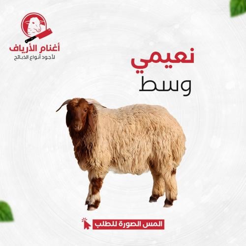 نعيمي وسط