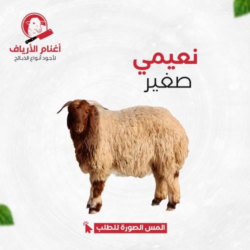 نعيمي صغير