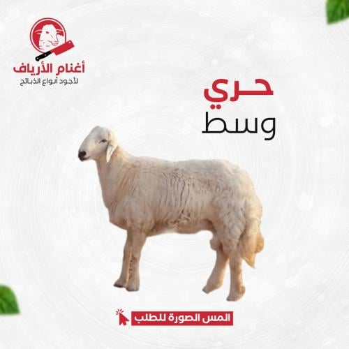 حري وسط