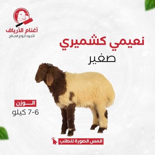 نعيمي كشميري صغير