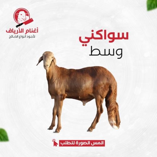 سواكني وسط