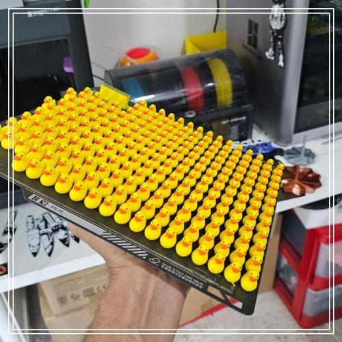 بطابيط بطات بط بطة