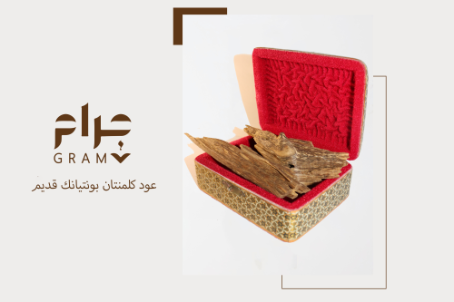 عود كلمنتان بونتيانك قديم