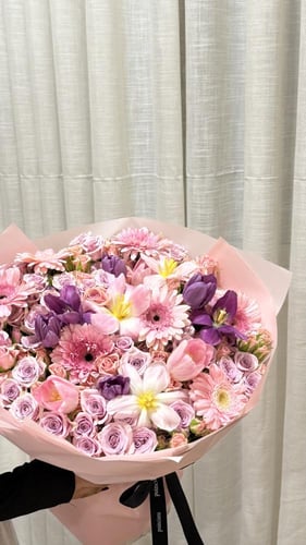 مكس توليب |TULIP MIX