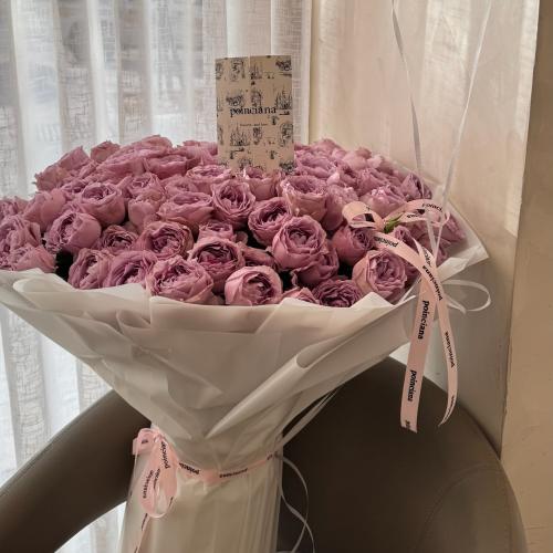 جاردن موف - purple Garden