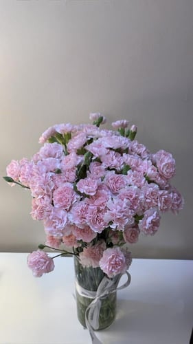 بيبي كارنيشين