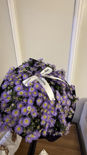 ورد الاستر |ESTHER