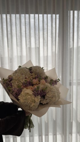 هايدرنجا | Hydrangea