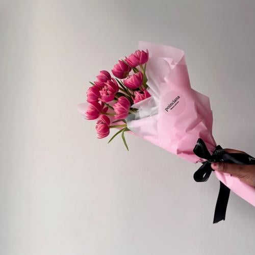 بيبي توليب | BABY TULIPS