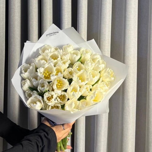 توليب ٤٠ غصن احمر | TULIP 40