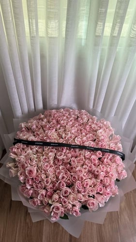 ٣٠٠ جوري | 300 ROSE