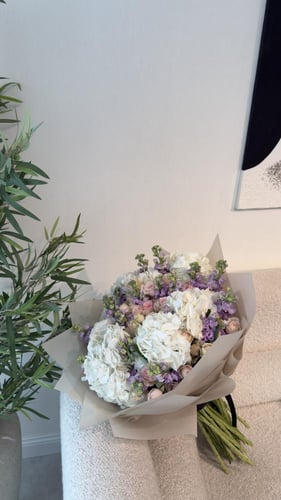 هايدرنجا | Hydrangea