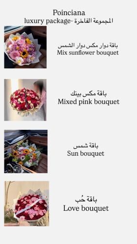 المجموعة الفاخرة- Luxury package