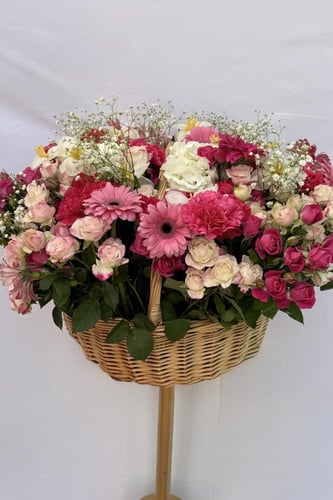 سلة بونسيانا |POINCIANA BASKET