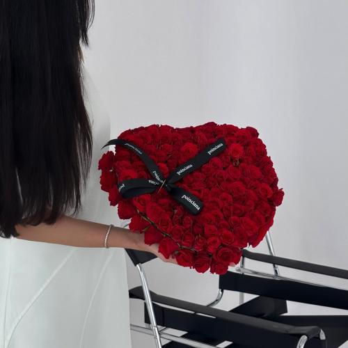 قلب بونسيانا| POINCAINA'S HEART