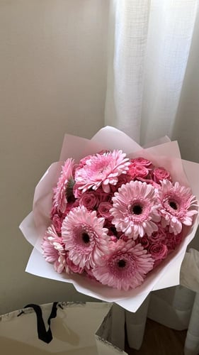 بينك جربيرا | PINK GERBERA