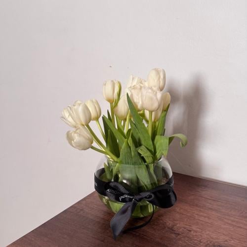 فازة 20 حبه توليب