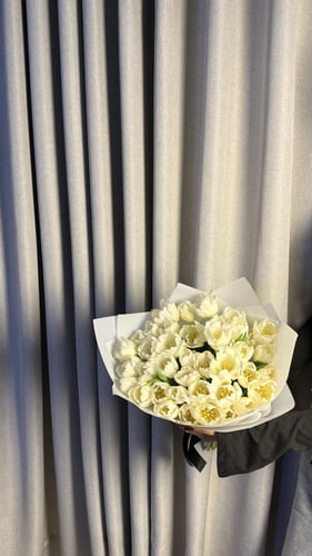 توليب ٤٠ غصن احمر | TULIP 40