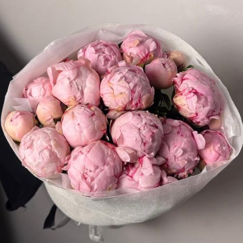 ٢٠ بيوني | 20 puny