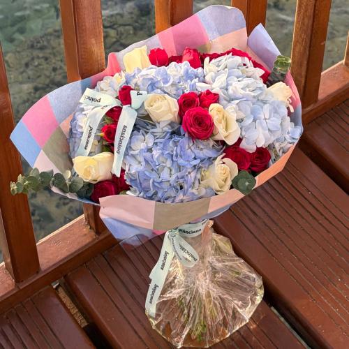 هايدرنجا | Hydrangea