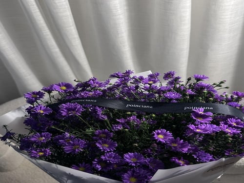 ورد الاستر |ESTHER