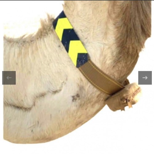 قلاده العاديه جهاز تتبع