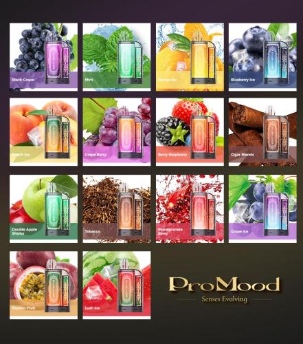 سحبة برو مود 10000 موش PROMOOD VISION 10000 PUFFS