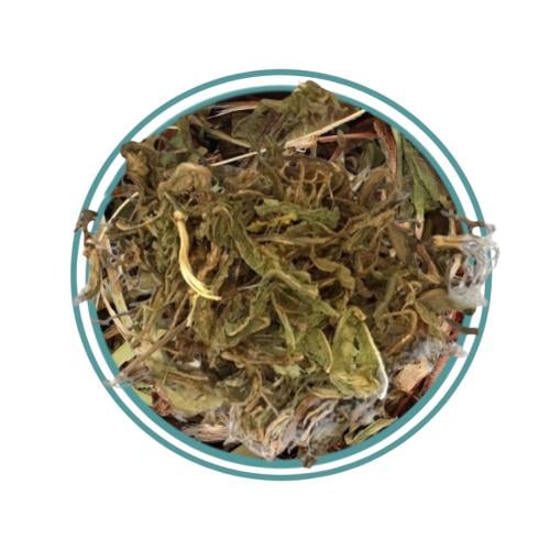 عشبة الهاندباء 125جرام