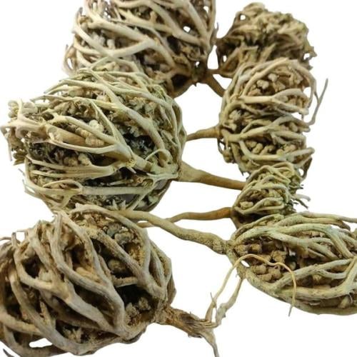 عشبة كف مريم 250جرام