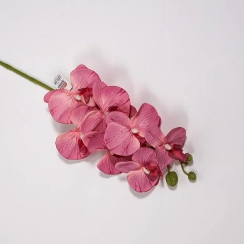 The orchid branch is red with pink