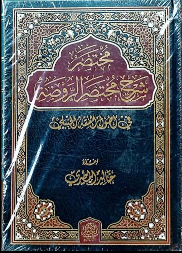 مختصر شرح مختصر الروضة