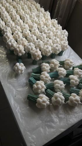 Pearl Tulip Candle