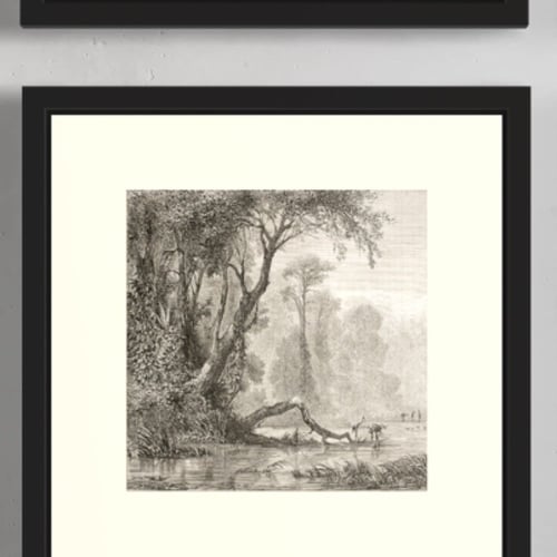 مجموعة لوحات كنفاس مكونة من 6 لوحات