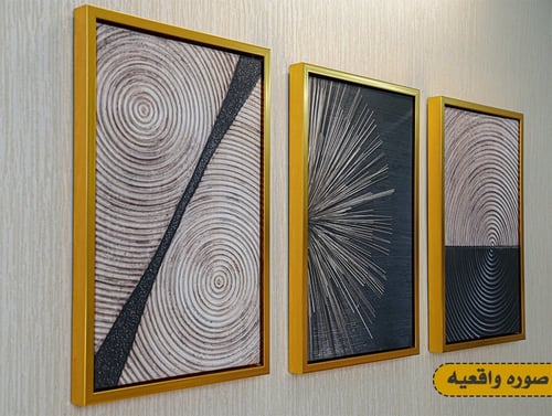 طقم من 3 لوحات فنية كنفاس