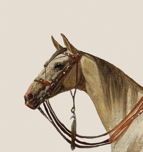 مجموعة لوحات كنفاس مكونة من 9 لوحات