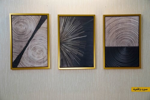 طقم من 3 لوحات فنية كنفاس