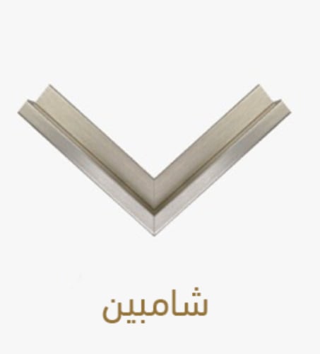 ثلاث لوحات للمؤسس والملك وولي العهد